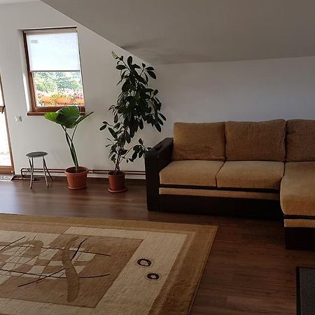 Casa Margareta Βίλα Sovata Εξωτερικό φωτογραφία