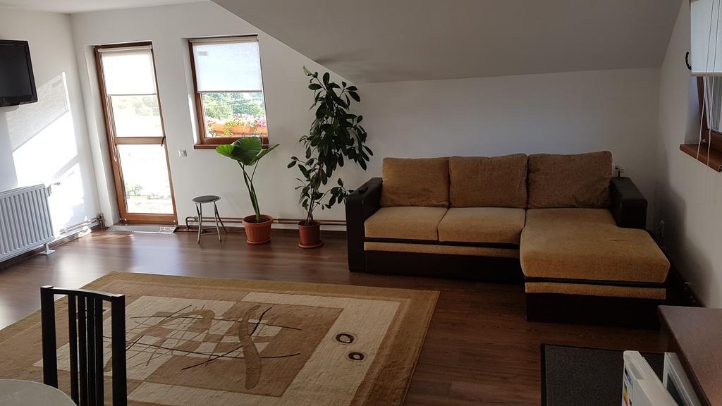 Casa Margareta Βίλα Sovata Εξωτερικό φωτογραφία